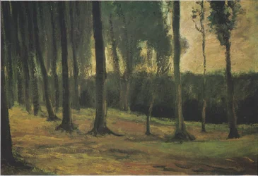 Skogens kant